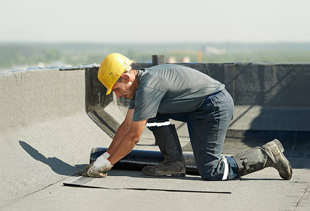 Best Insulation Installation Services in East Cleveland, OH